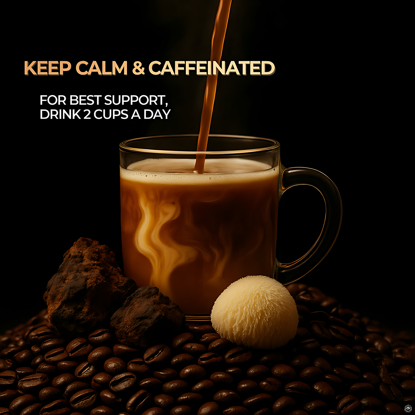 Mushroom Coffee Blend